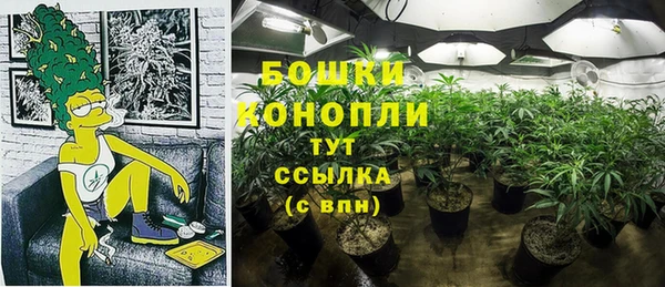 спиды Михайловка